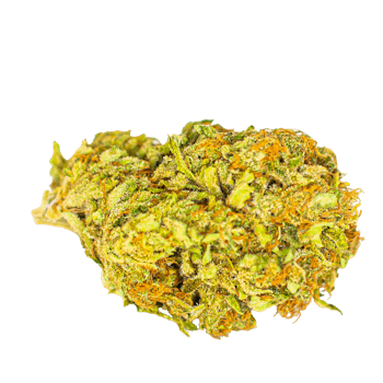 COLOR CANNABIS - MANGO HAZE - 3.5 GRAM